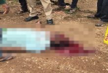 CG Murder News