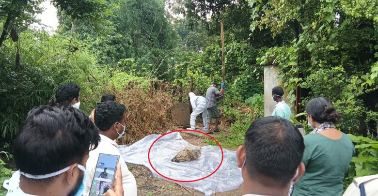 Korba Crime: