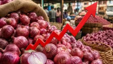 Onion Price Hike