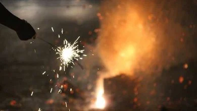 New Guidelines Firecrackers
