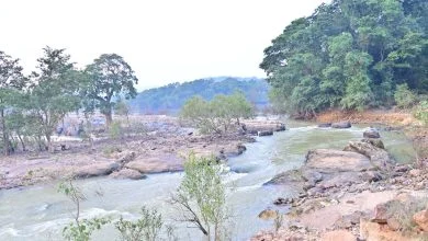Bodhghat Project Explainer