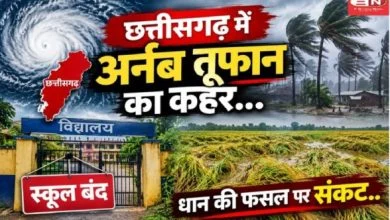 Arnab Storm In CG