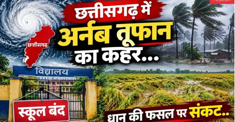 Arnab Storm In CG