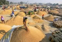 CG Dhan Kharidi: