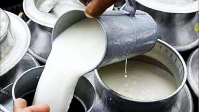 Milk Price Hike