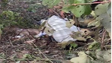CG Road Accident: